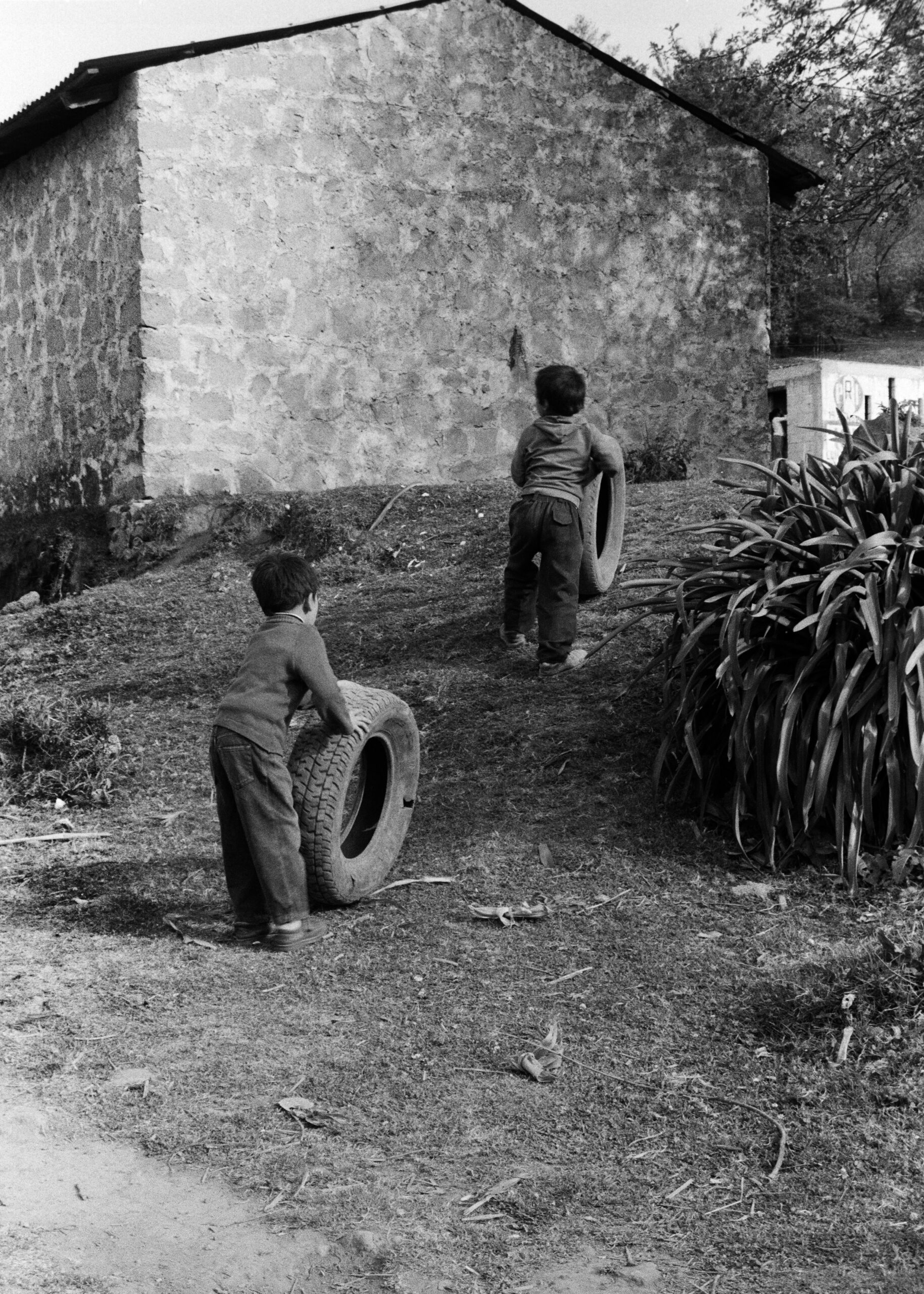 Instrucciones para publicar